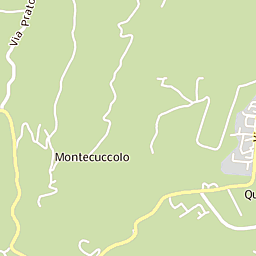 Risultati immagini per querciagrossa di pavullo